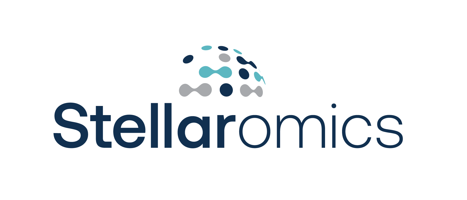 Stellaromics logo showcasing a stylized globe design with interconnected nodes, representing innovation in genomics and data-driven solutions for precision medicine.